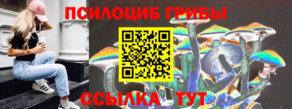 Химки  Галлюциногенные грибы Psilocybine cubensis  дарнет шоп  Вход с VPN 