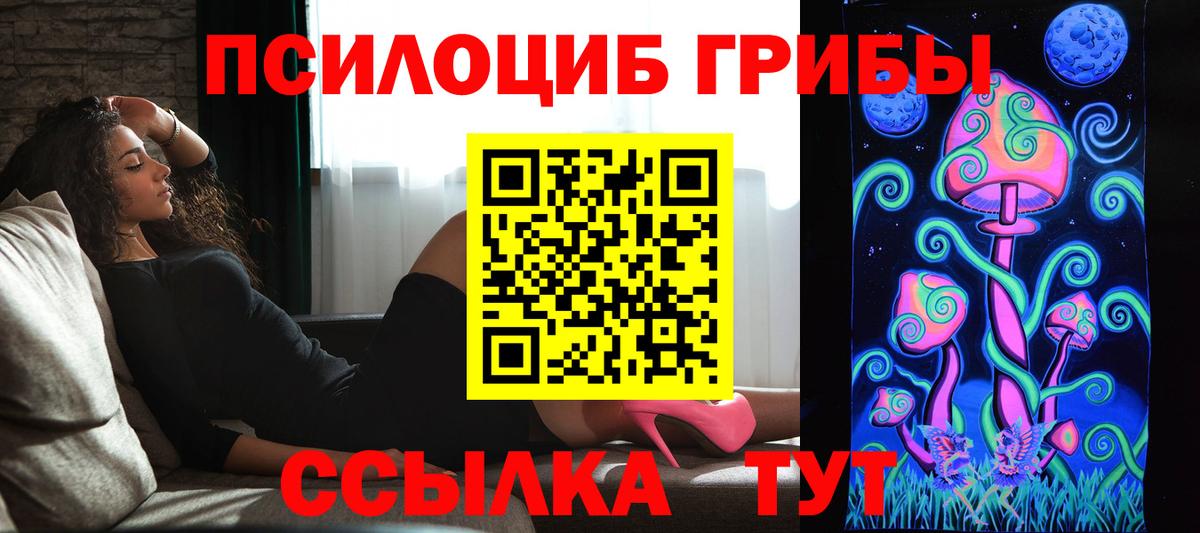 Галлюциногенные грибы Psilocybe Химки